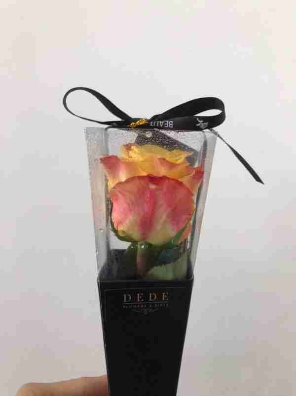 Rose in a box